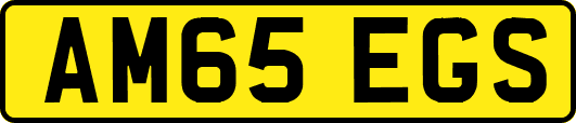 AM65EGS