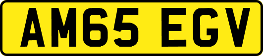 AM65EGV