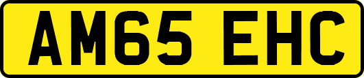 AM65EHC