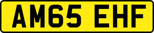 AM65EHF
