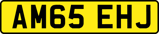 AM65EHJ