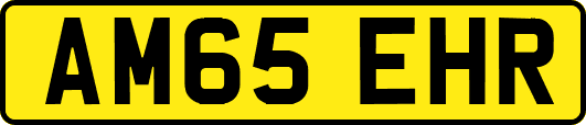 AM65EHR