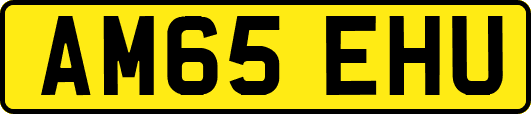AM65EHU