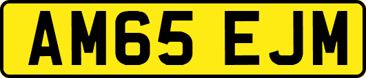 AM65EJM
