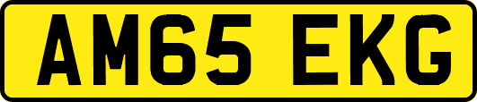 AM65EKG