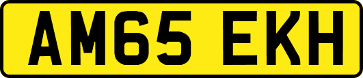 AM65EKH