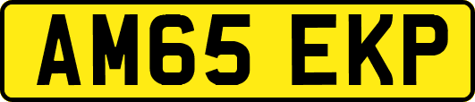AM65EKP