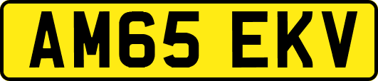 AM65EKV