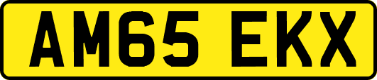 AM65EKX