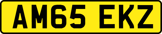 AM65EKZ