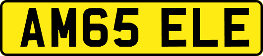 AM65ELE