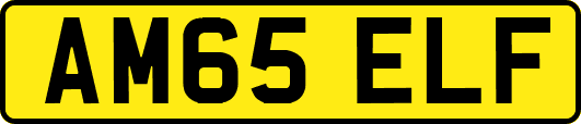 AM65ELF