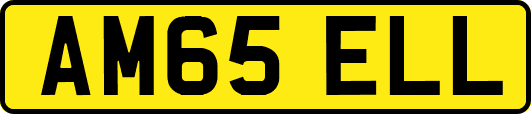 AM65ELL