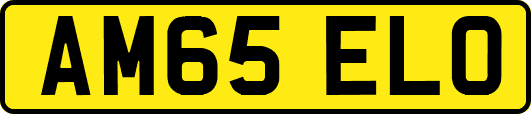 AM65ELO