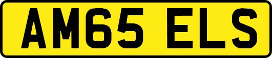 AM65ELS