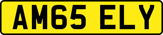 AM65ELY