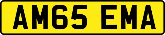 AM65EMA
