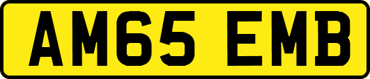 AM65EMB