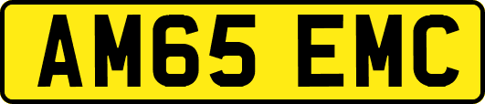 AM65EMC