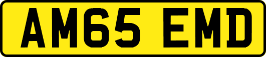 AM65EMD