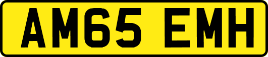 AM65EMH