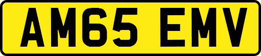 AM65EMV