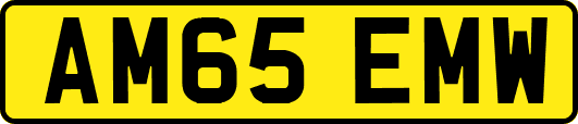 AM65EMW