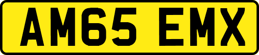 AM65EMX