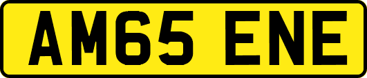 AM65ENE