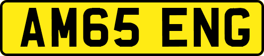 AM65ENG