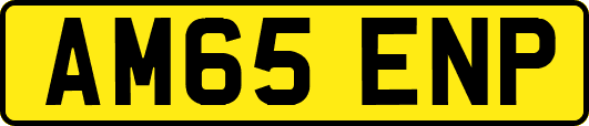 AM65ENP