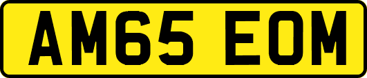 AM65EOM