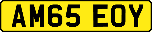 AM65EOY