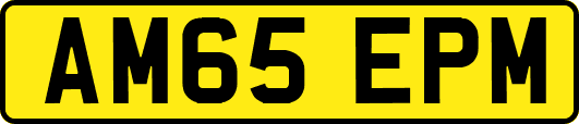 AM65EPM