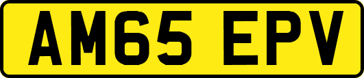 AM65EPV
