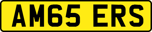 AM65ERS