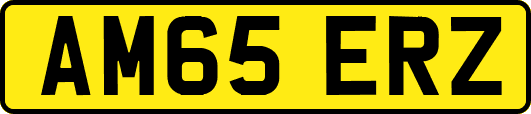 AM65ERZ