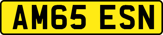 AM65ESN