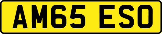 AM65ESO