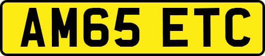 AM65ETC