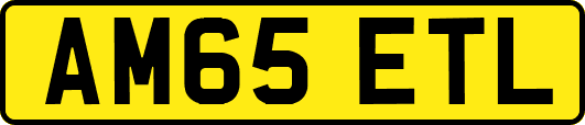 AM65ETL