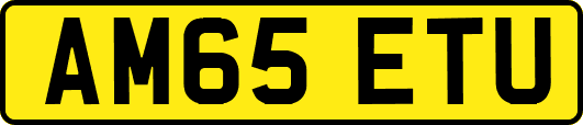 AM65ETU