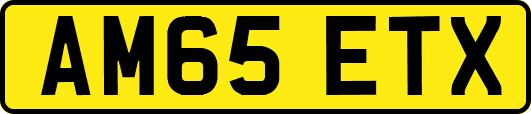 AM65ETX