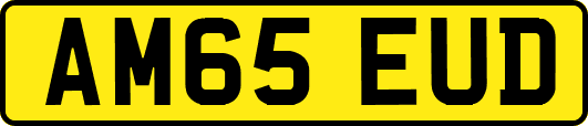 AM65EUD