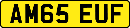 AM65EUF