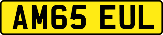 AM65EUL