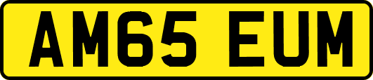 AM65EUM