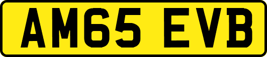 AM65EVB