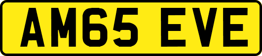 AM65EVE