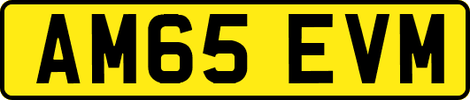 AM65EVM